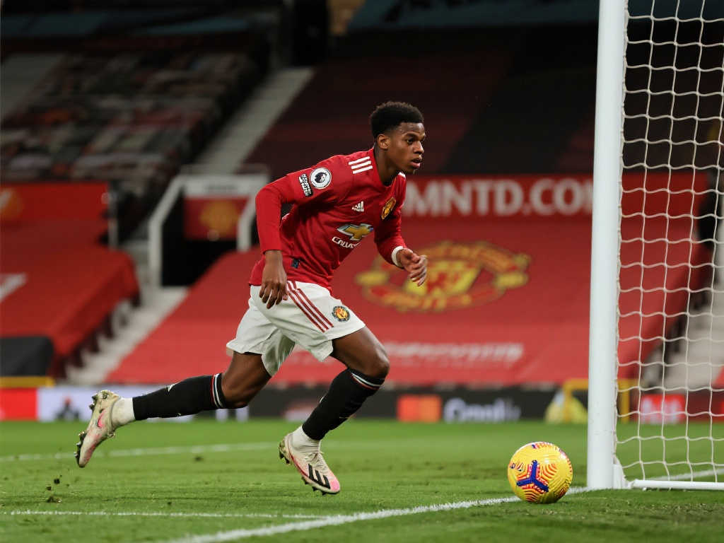 未来几年内 未来几年内