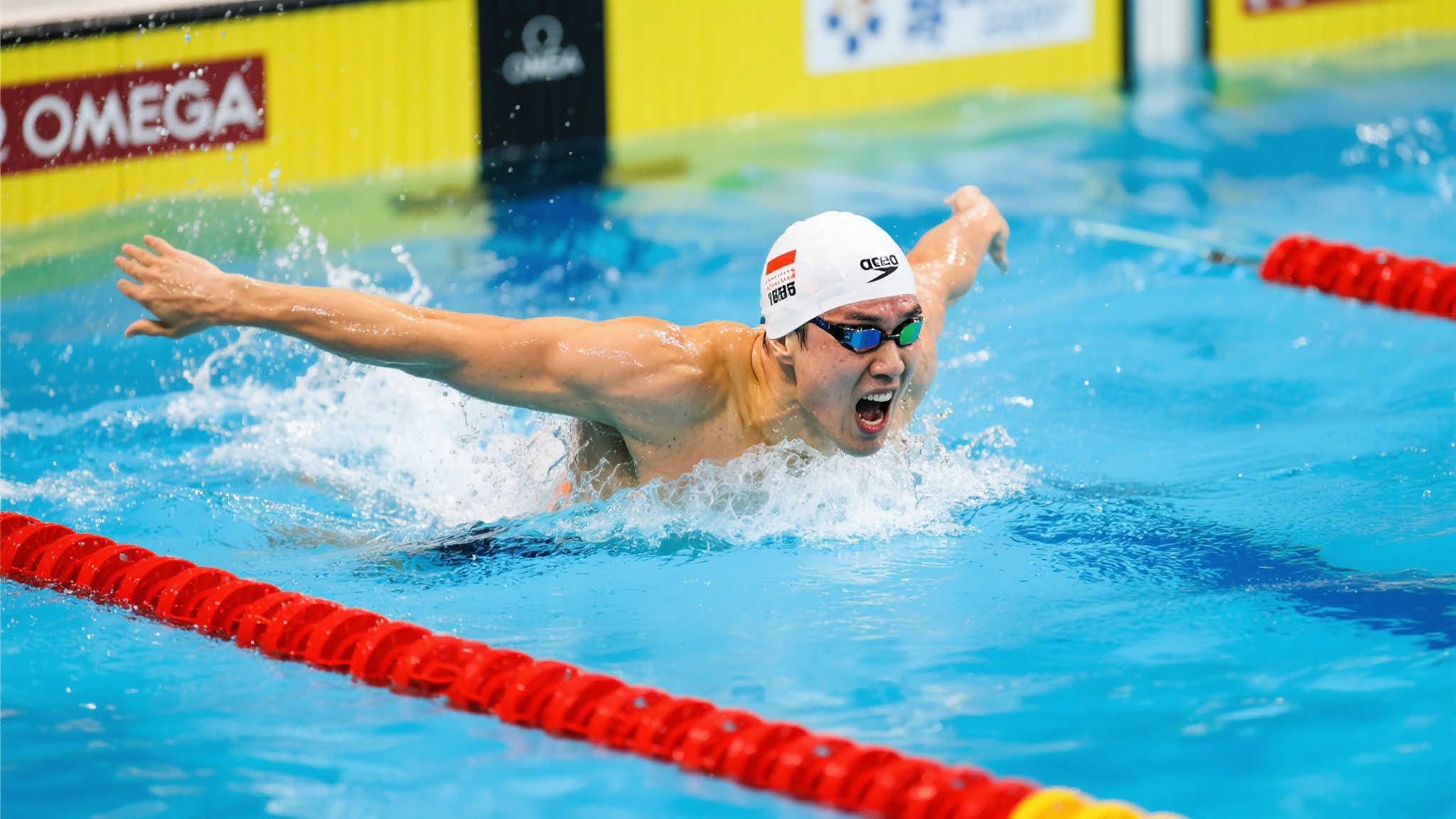 已引起多家 已引起多家